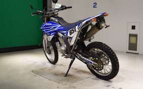 YAMAHA WR250R 2010 DG15J