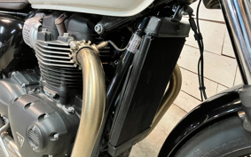 TRIUMPH BONNEVILLE T100 2021 DAD70G