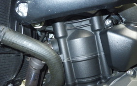 TRIUMPH STREET TRIPLE RS 2022