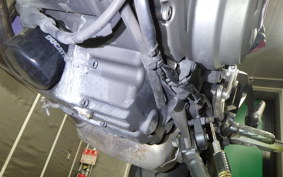 DUCATI MONSTER 937 2021