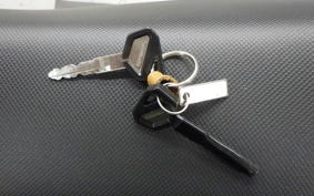 KAWASAKI KLX125 2021 LX125C