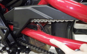 INDIAN FTR1200R carbon 2021