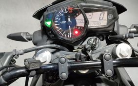 YAMAHA MT-25 RG43J