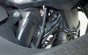 HONDA CRF1100L AFRICA TWIN DCT 2024 SD10