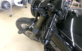 HARLEY FXBB 2019 YJJ