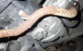 YAMAHA VINO 50 SA37J