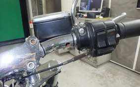 HARLEY FLSTC 1340 2021