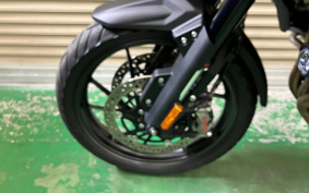 TRIUMPH TIGER 1200GTEKUSUP 2024 TAP24V