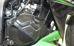 KAWASAKI Z300 2022