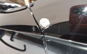 TRIUMPH DAYTONA675 2010 TMD116