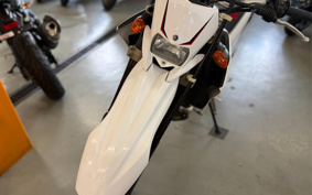 YAMAHA WR250X DG15J