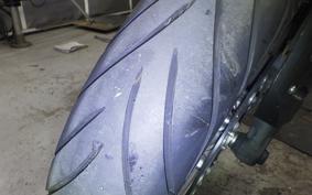 YAMAHA FZ1 FAZER 2009 RN21J