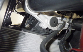 KAWASAKI NINJA 1000 SX 2023 ZXT02K