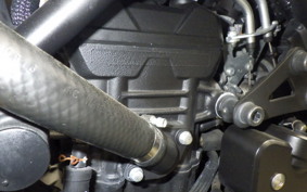 YAMAHA MT-25 2022 RG43J
