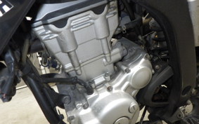 YAMAHA WR250X DG15J