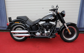 HARLEY FLSTFB 2011 JN5