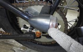 OTHER +UNREGISTERED MODEL by BDS250 2015