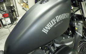 HARLEY XL883N 2013