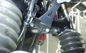 KAWASAKI W800 2022 EJ800E