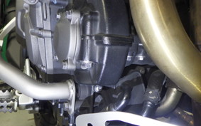 TRIUMPH TIGER 900 RALLY PRO 2022