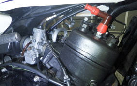 YAMAHA RZ 250 2009 4L3