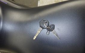 YAMAHA YZF-R25 A 2001 RG43J