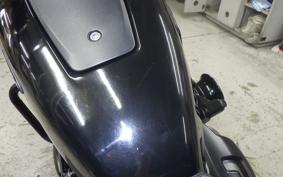 HARLEY RH975S 2024
