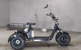 OTHER  BLAZE EV TRIKE  ..