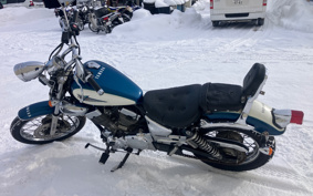 YAMAHA VIRAGO 250 3DM