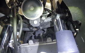 KAWASAKI NINJA 250 EX250P