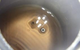 HONDA LITTLE CUB E C50