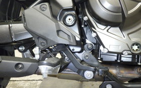 SUZUKI Vｽﾄﾛｰﾑ800 2024 EM1BA