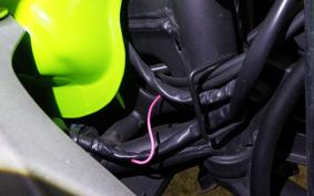 KAWASAKI NINJA 250R 2021 EX250K