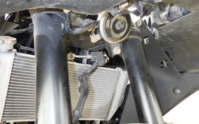 YAMAHA YZF R-3 2021 RH13J