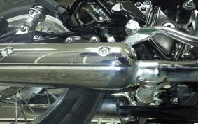 KAWASAKI W800 2022 EJ800E