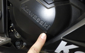 KAWASAKI NINJA 250 ABS EX250L