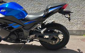 KAWASAKI NINJA 250 EX250L