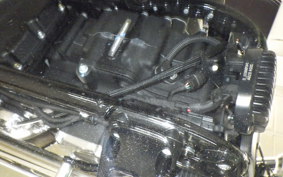 HARLEY FXST1750 2025
