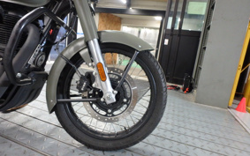 OTHER ENFIELD  CLASSIC  SIGNAL ZU 2023 ME3ELJ15