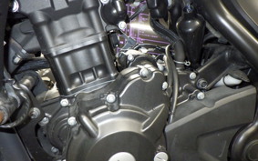 HONDA REBEL 250 S 2008 MC49