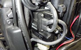 HARLEY XL1200NS 2019