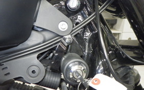 HARLEY XL883N 2019