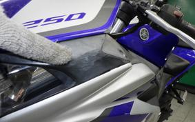 YAMAHA YZF-R25 2009 RG10J