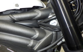 TRIUMPH SPEED TRIPLE RS 2019