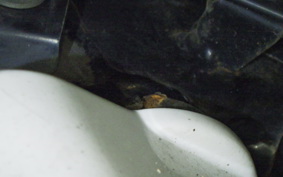 HONDA GYRO CANOPY 2007 TA03