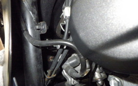 HONDA TACT-4ﾍﾞｰｼｯｸ 2019 AF79
