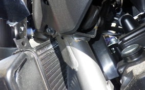 KAWASAKI Z900RS CAFE 2025 ZR900K