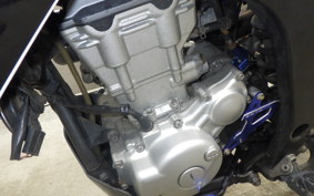 YAMAHA WR250X 2021 DG15J