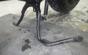 HONDA ZOOMER 2007 AF58