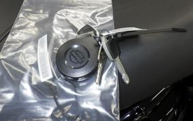 HARLEY FXLRST1920 2025